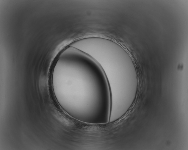 X0000094970104200711291147