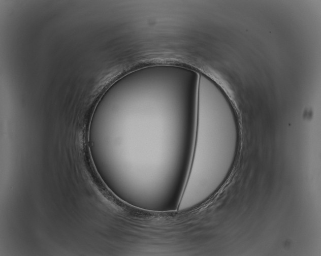 X0000094970105200711291147