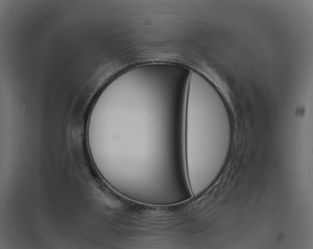 X0000094970107200711291147