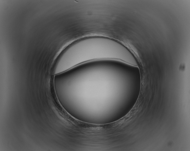 X0000094970108200711291147