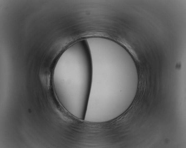 X0000094970110200711291147
