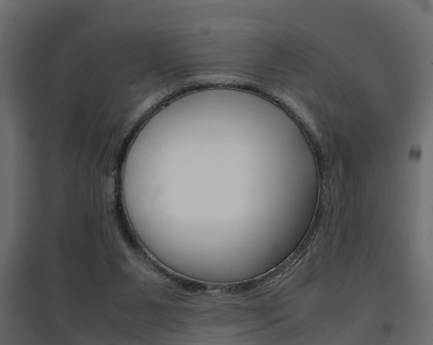 X0000094970111200711291147