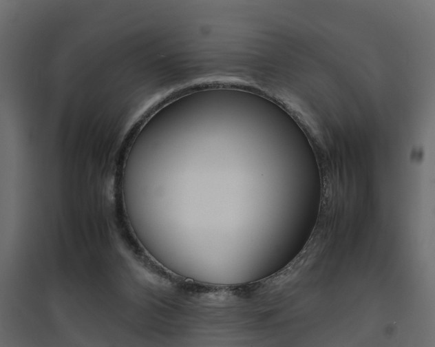 X0000094970112200711291147
