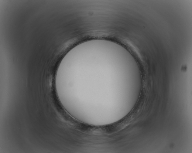 X0000094970115200711291147