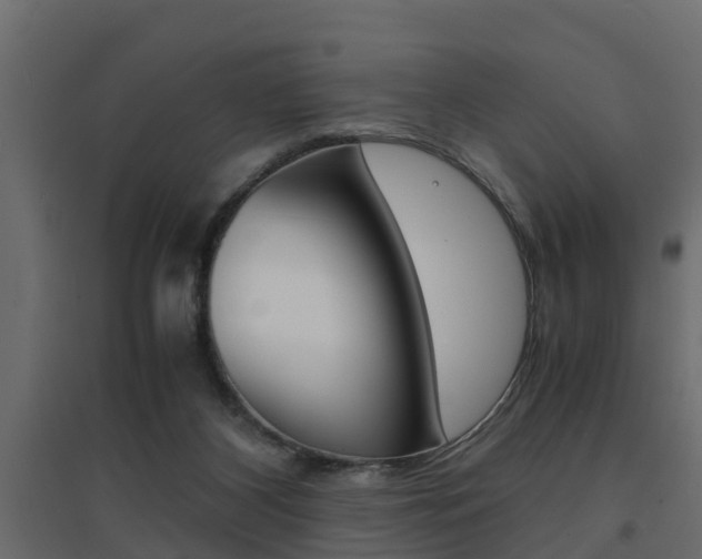 X0000094970116200711291147