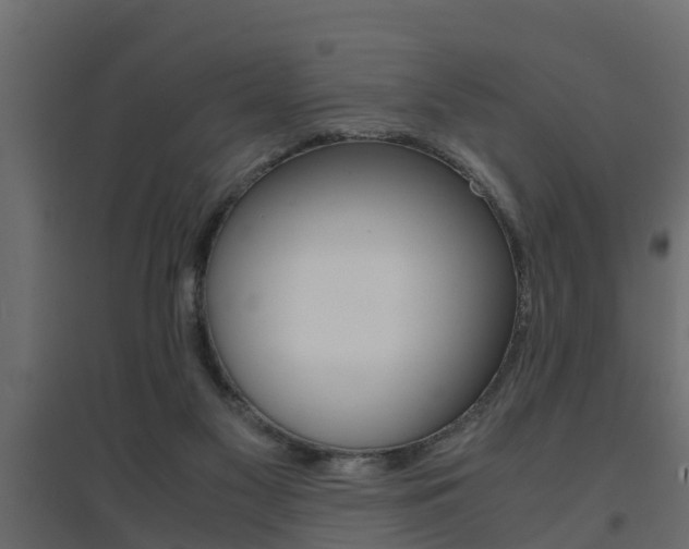 X0000094970117200711291147