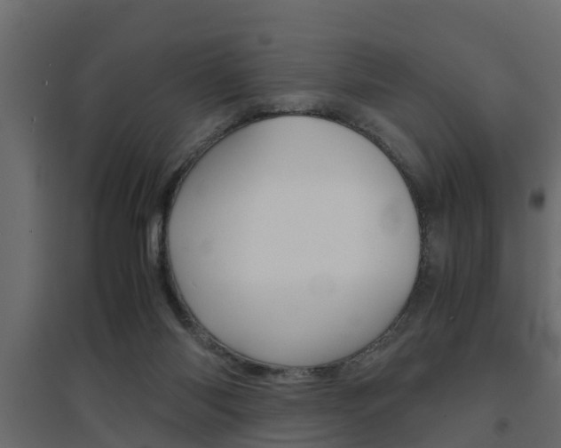 X0000094970118200711291147