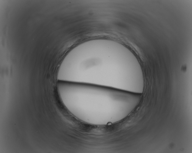 X0000094970119200711291147