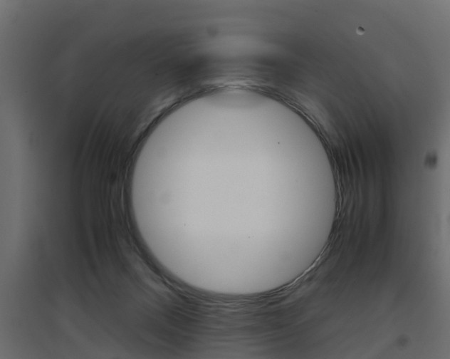 X0000094970120200711291147