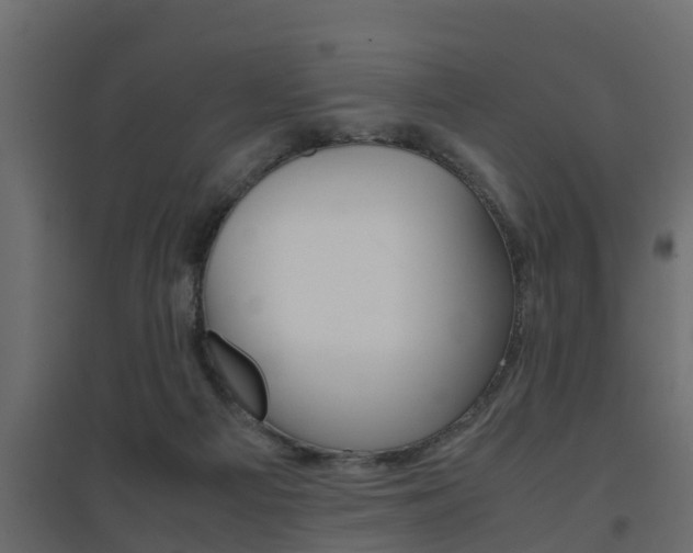 X0000094970121200711291147