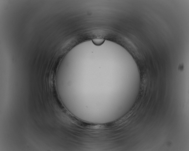X0000094970122200711291147