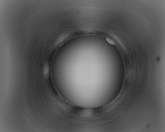 X0000094970124200711291147