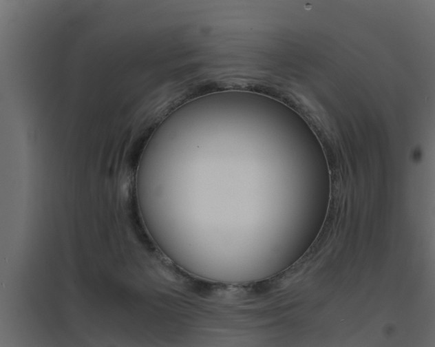 X0000094970125200711291147