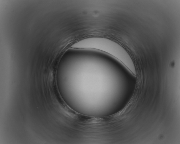 X0000094970128200711291147