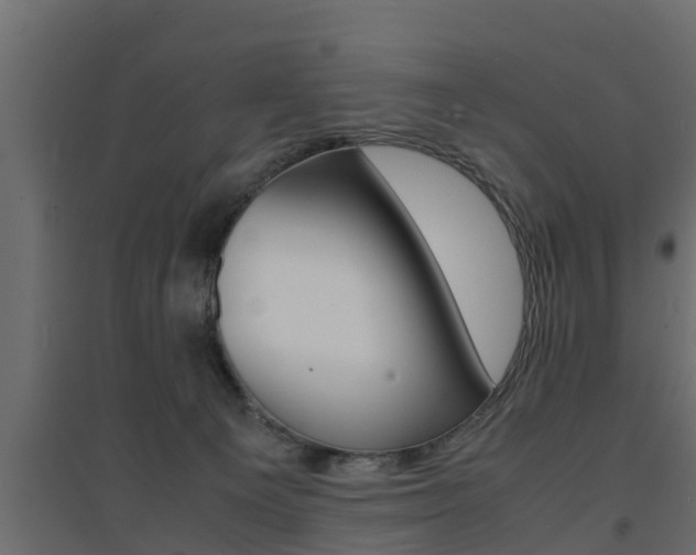 X0000094970129200711291147