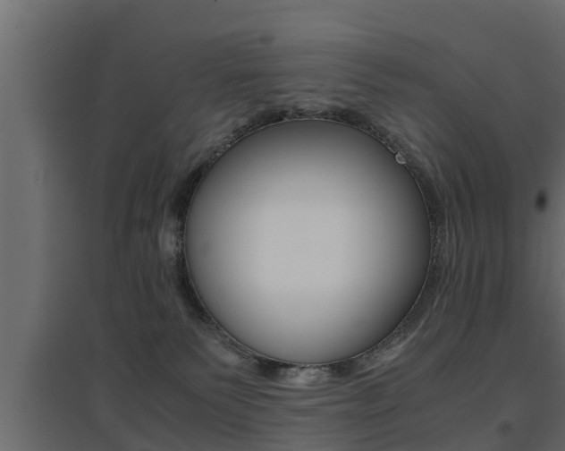 X0000094970135200711291147