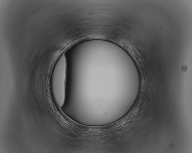 X0000094970145200711291146