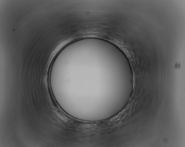 X0000094970147200711291146
