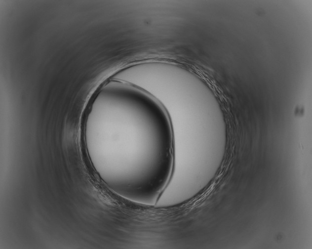 X0000094970148200711291146
