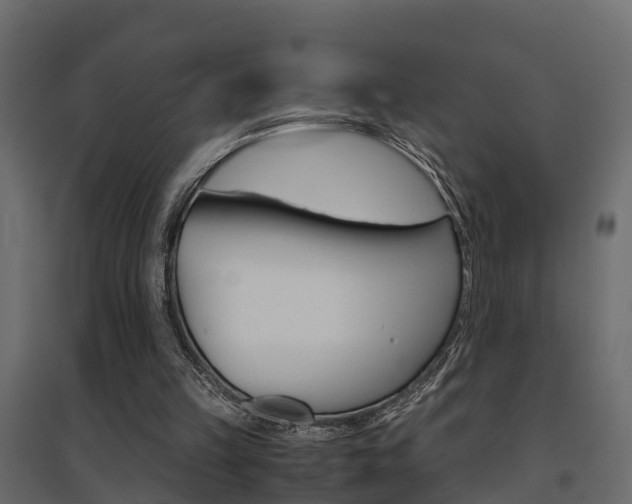 X0000094970149200711291146