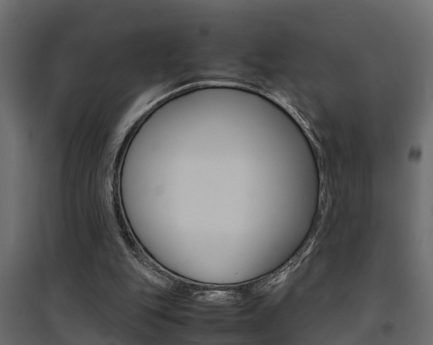 X0000094970151200711291146