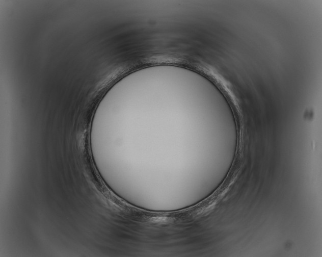 X0000094970153200711291146