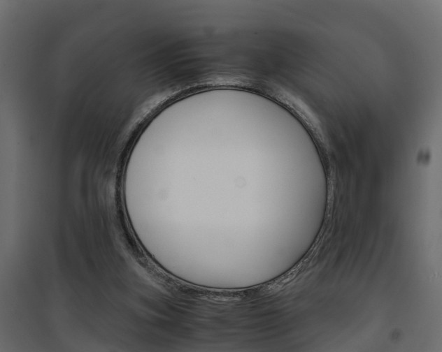 X0000094970155200711291146