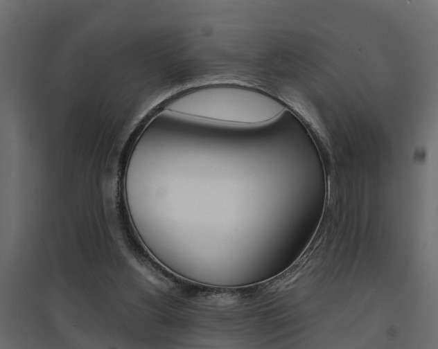 X0000094970156200711291146