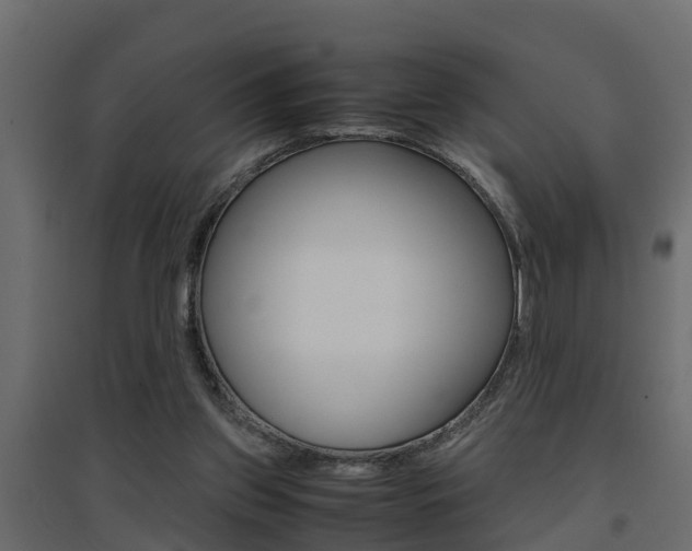 X0000094970157200711291146