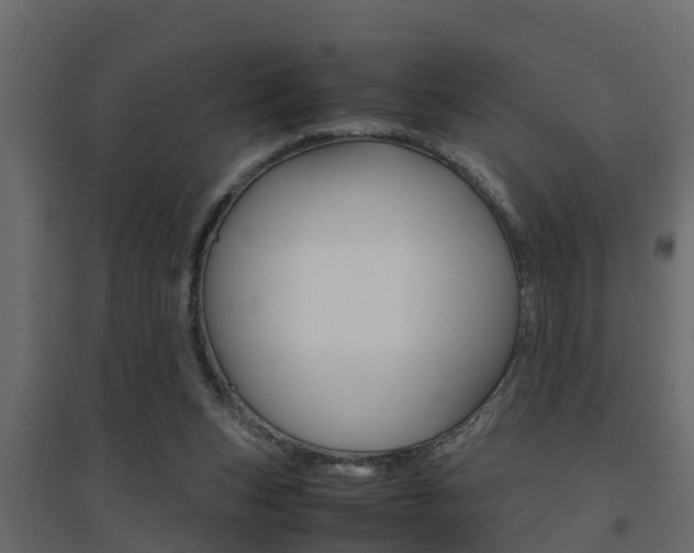 X0000094970159200711291146