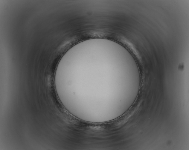 X0000094970161200711291146