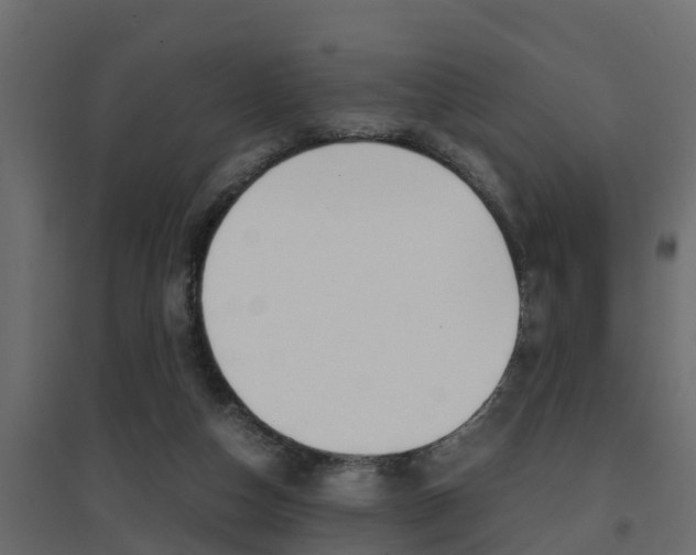 X0000094970162200711291146