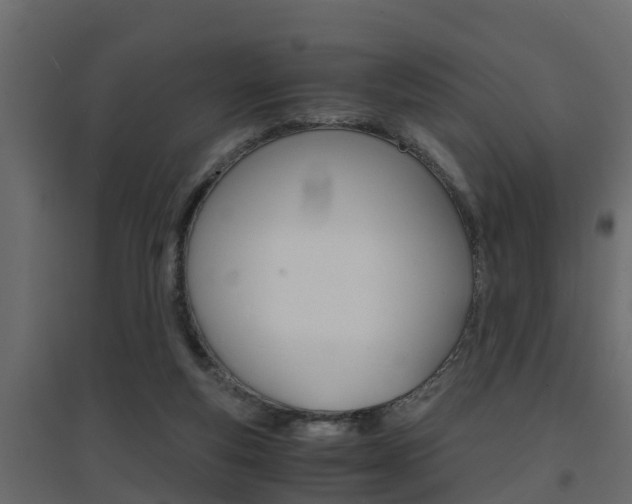 X0000094970163200711291146