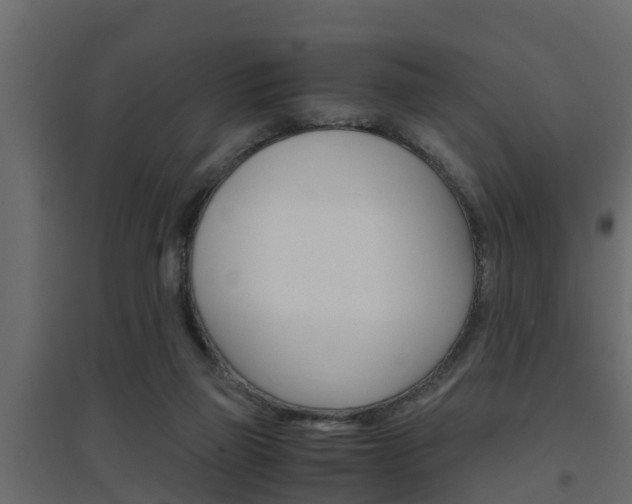X0000094970165200711291146