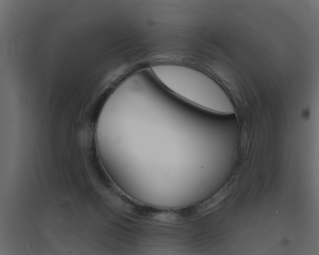 X0000094970168200711291146