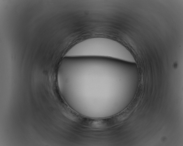 X0000094970173200711291146