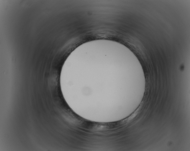 X0000094970174200711291146