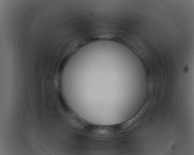 X0000094970175200711291146