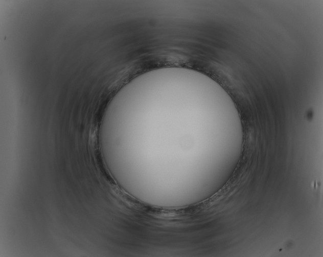 X0000094970177200711291146