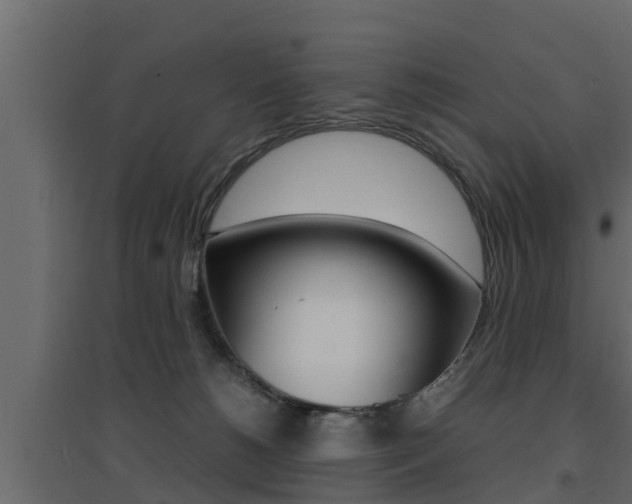 X0000094970180200711291146