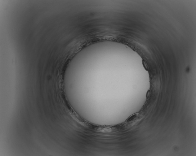 X0000094970181200711291146