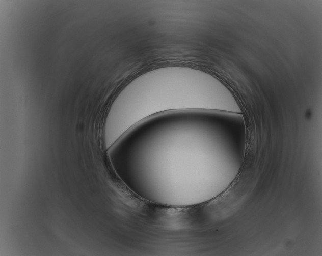 X0000094970184200711291146