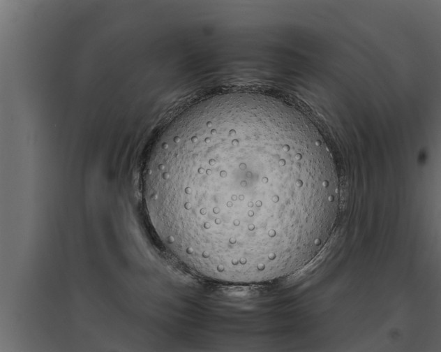X0000094970187200711291147