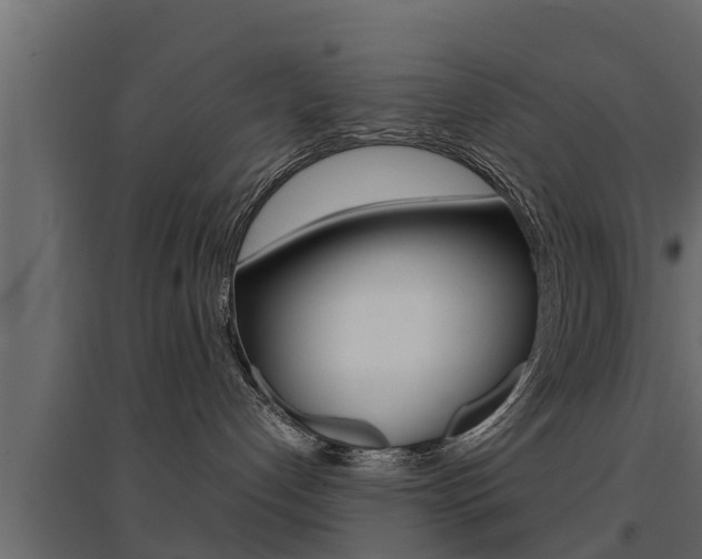 X0000094970192200711291147