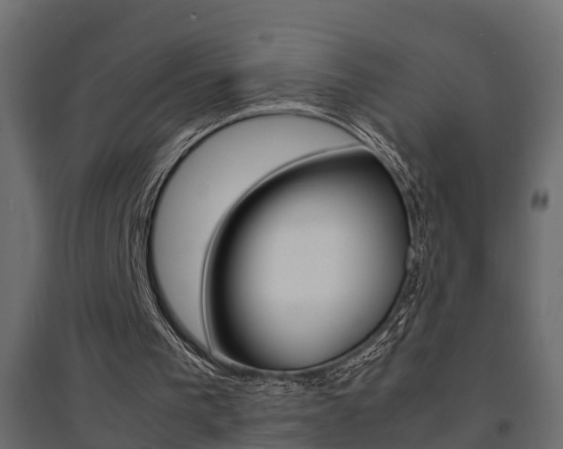 X0000094970193200711291146