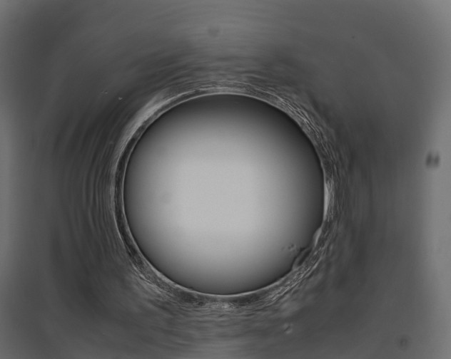 X0000094970195200711291146