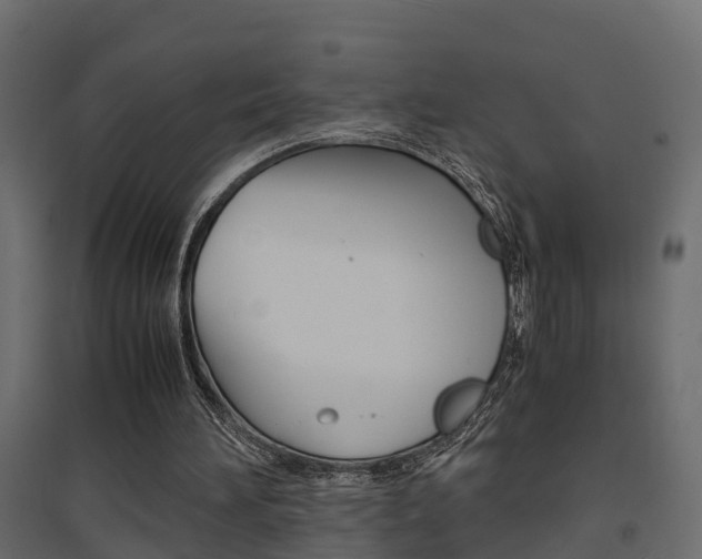 X0000094970196200711291146