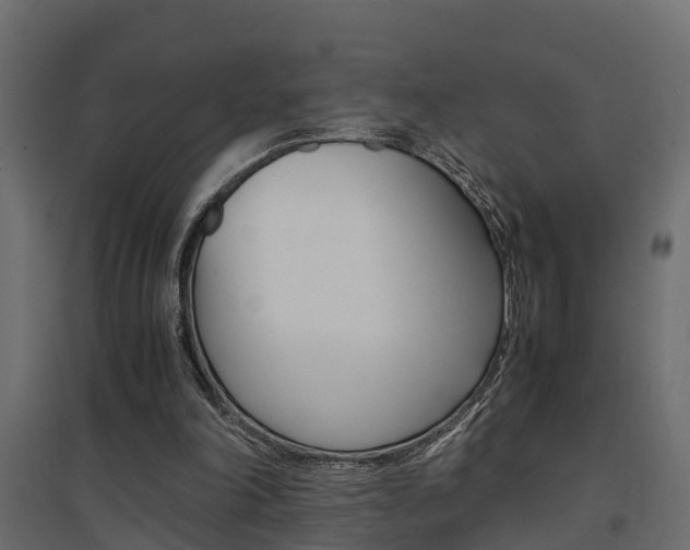 X0000094970198200711291146