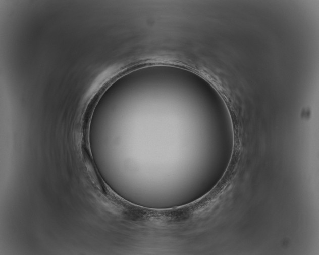 X0000094970199200711291146