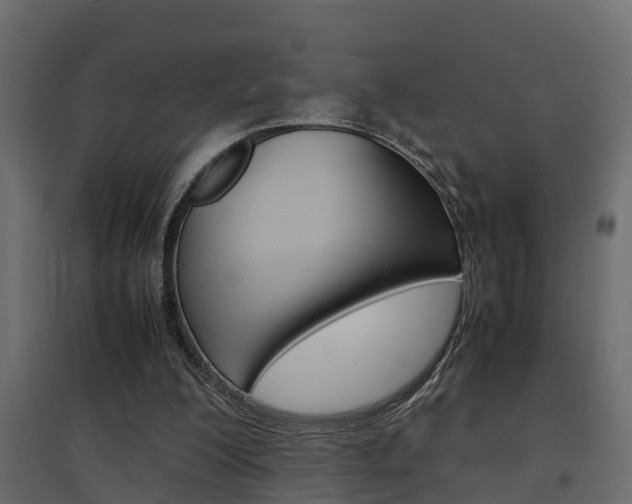 X0000094970200200711291146